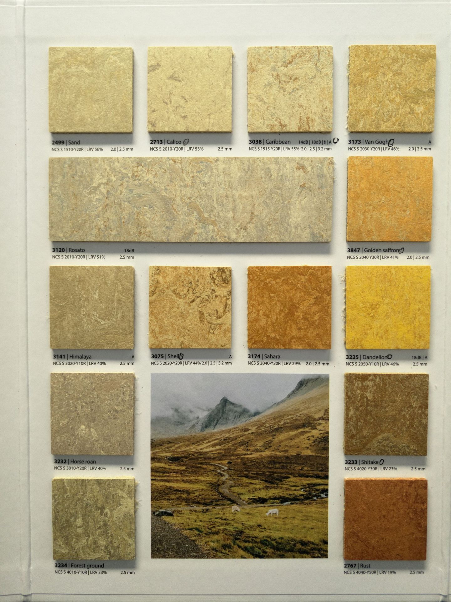 福尔波亚麻地板 早教幼儿园地胶 学校办公室展厅 亚麻油地板_e3f075ab.jpg