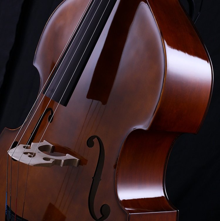 捷克进口Strunal Schonbach低音提琴博尔扎诺55w_2b444c8e.jpg