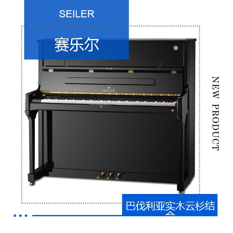 1681874078208493.jpg 德国原装进口钢琴 SEILER STRUNZ音板 ROSLAU弦_96b7b5b5.jpg